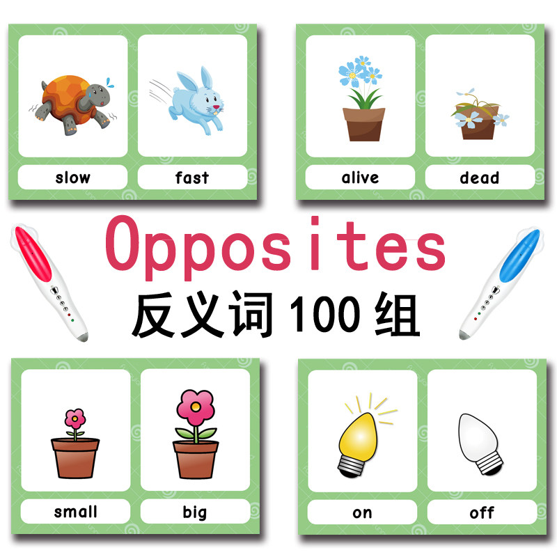 100 карточек с противоположным – обзор и цена Educational Flash Card
